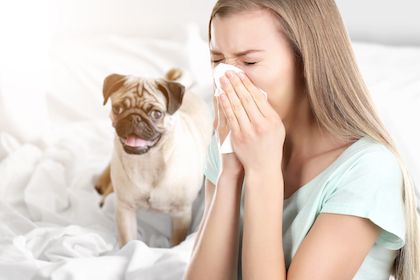 Common Indoor Allergens