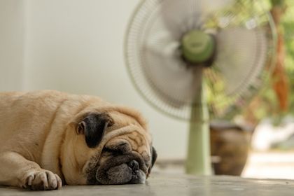 5 Reasons Why You Shouldn't Wait for Air Conditioning Repair